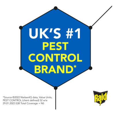 Raid Ant & Insect Killer Powder 250g, imported from the UK