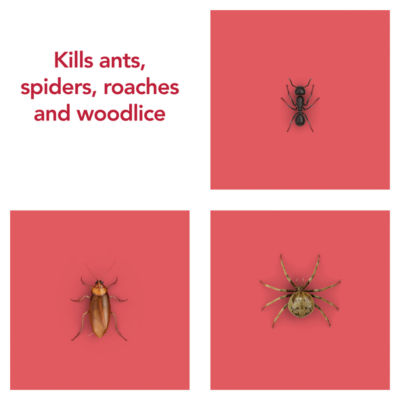 Raid Ant & Cockroach insect killer spray 300ml, imported from the UK