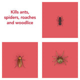 Raid Ant & Cockroach insect killer spray 300ml, imported from the UK