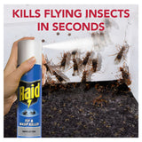 Raid Rapid Action insect killer aerosol spray 300ml, imported from the UK