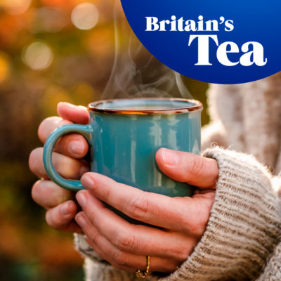 Tetley Pure Camomile Herbal Tea Bags x20 (British brand)