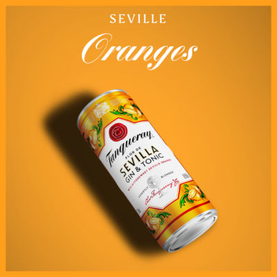 Tanqueray Flor De Sevilla Gin & Tonic 250ml (British brand)