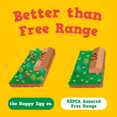 Happy Egg Co free range 10 large eggs (British brand)