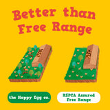 Happy Egg Co free range 10 large eggs (British brand)