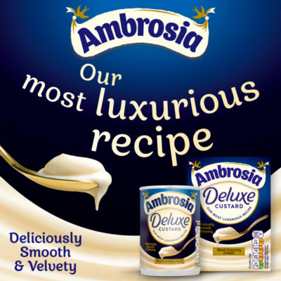 Ambrosia Deluxe Vanilla Custard 400g can - British product