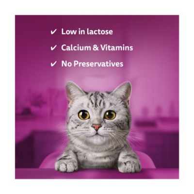 Whiskas kitten cat milk 200ml (British brand)