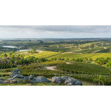 Bodega Garzon Reserve Albarino white wine - British product