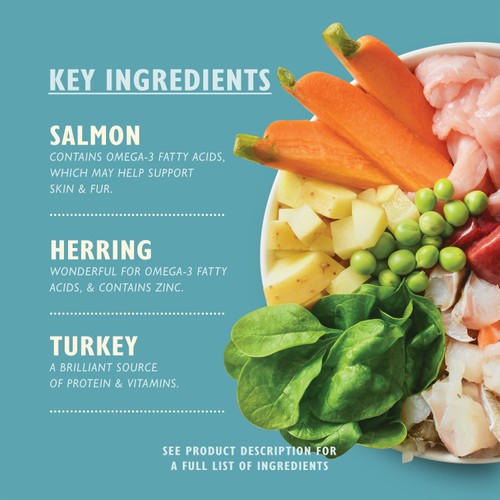 Lily's Kitchen grain-free fish pie wet dog food in can, UK version