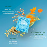 Pure Cotton Scallop Edge Pillow Sham