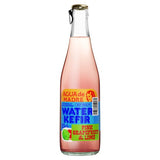 Agua de Madre Pink Grapefruit  Lime Water Kefir