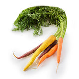 Natoora Organic Rainbow Carrots