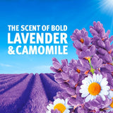 Bold 2in1 Washing Liquid Gel Lavender & Camomile 26 Washes