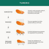 Together Health Turmeric  Curcumin Supplement