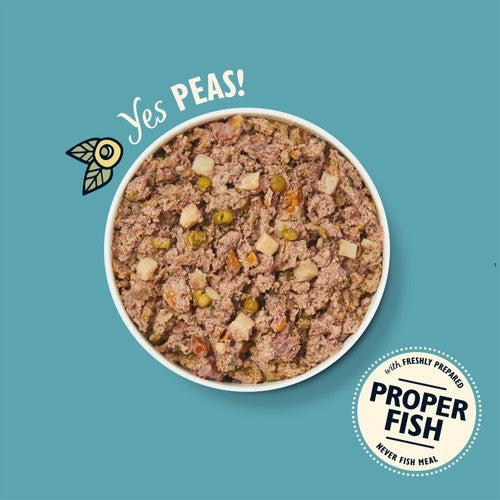 Lily's Kitchen grain-free fish pie wet dog food in can, UK version