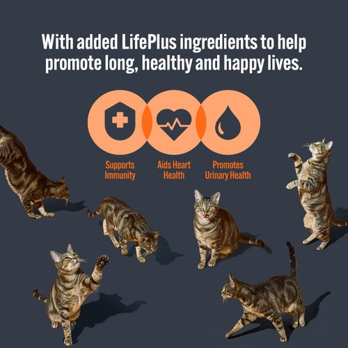 HiLife tuna and mackerel in jelly wet cat food multi-pack pouches, UK version
