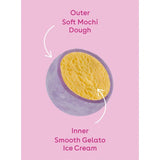 Little Moons Lychee  Raspberry Mochi Ice Cream