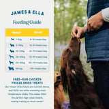James  Ella Freeze-Dried Raw Chicken Dog Treats