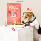 Edgard  Cooper Senior Grain Free Dry Dog Food Free-Run Chicken  Salmon
