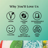 Twinings Superblends Digest with Spearmint Apple  Rooibos