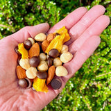 Nibble Simply Choccy Hazelnut Mango Trail Mix
