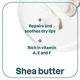 ATTITUDE Lip Balm - Unscented