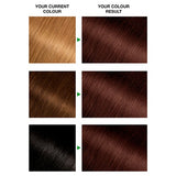 Garnier Nutrisse Ultra-Colour 4.15 Iced Coffee Permanent Hair Dye