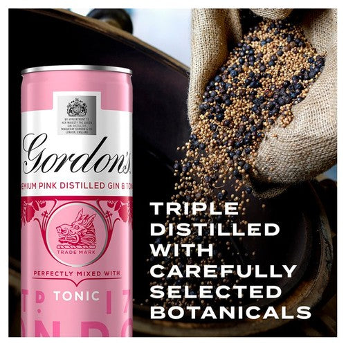 Gordon's pink gin and tonic canned cocktail 250ml, UK version