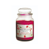 Prices Frosted Cherries Large Jar Candle