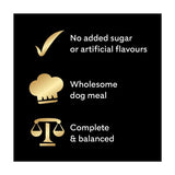 Cesar Deliciously Fresh Dog Food Pouches Mixed Selection in Sauce