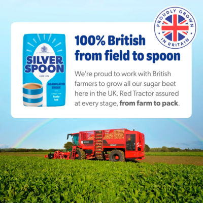 Silver Spoon Granulated Sugar 500g (British brand)