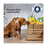 Pedigree DENTASTIX daily dental chews 42 sticks, imported from the UK