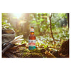 Shipyard American IPA craft ale 500ml bottle (British brand)