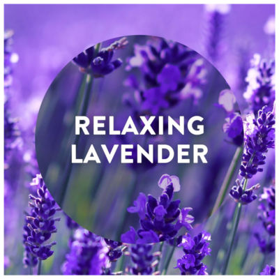 Air Wick Lavender & Bluebells plug-in refill 19ml - British product