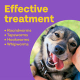 Bob Martin wormer tablets for dogs 4 pack - British product