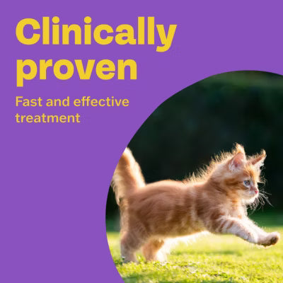 Bob Martin Clear Wormer for cats over 12 weeks 2 tablets - British product