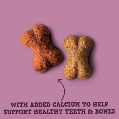 Wagg Chicken & Beef Dog Training Treats 125g (British brand)