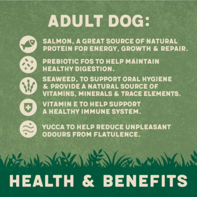 Harringtons Adult Dog Food Salmon & Potato 12kg, UK version