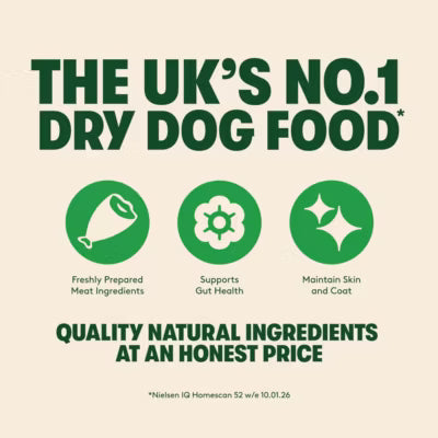 Harringtons lamb and rice dry adult dog food 4kg, UK version