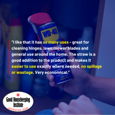 WD40 Multi-Use Spray with Smart Straw 250ml (British brand)