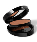 Luminous Silk Glow Fusion Powder