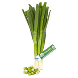 ASDA fragrant crunchy spring onions - British product