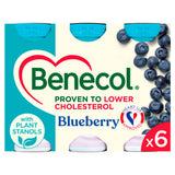 Benecol blueberry yogurt drink 6 x 67.5g pack - British product