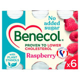 Benecol no added sugar raspberry yogurt drink multipack 405g - British product