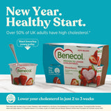 Benecol Strawberry Yogurt Lactose Free 4 x 115g - British product