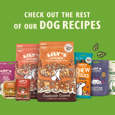 Lily's Kitchen Classic Dinners wet dog food multipack 6 x 150g, UK version