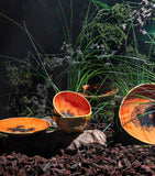Bordallo Pinheiro Papaya Plate (21cm)