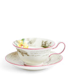 Wedgwood Voyage of the Beagle Galapagos Islands plate, teacup and saucer set (British brand)