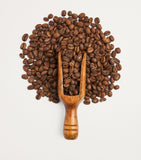 Harrods Colombia Popayan Reserve coffee beans 250g, UK version