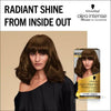 Schwarzkopf Oleo Intense gold brown hair dye - British product