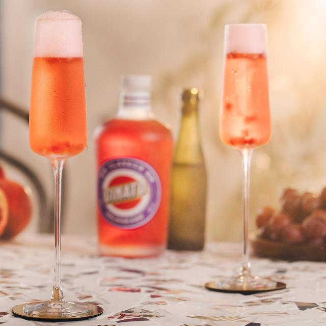 Ginato Pomegranate Gin   70cl GOODS M&S   